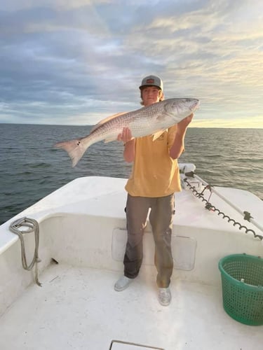 Trophy Red Drum Trip In Beaufort