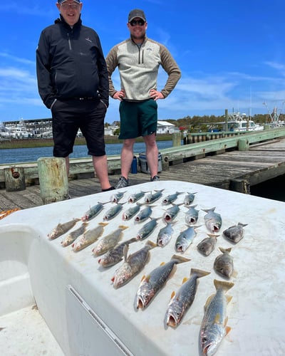 NC Inshore Slam in Beaufort