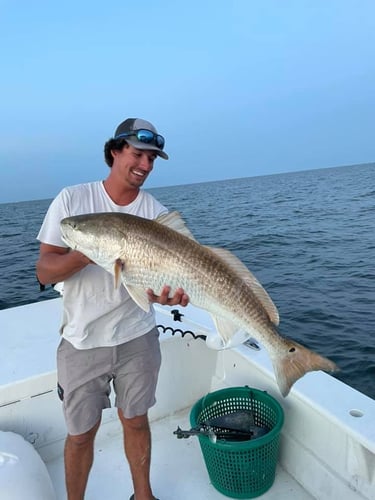 Trophy Red Drum Trip in Cedar Island