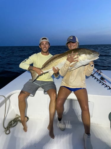 Trophy Red Drum Trip in Cedar Island