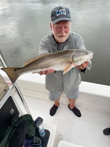 Trophy Red Drum Trip In Beaufort