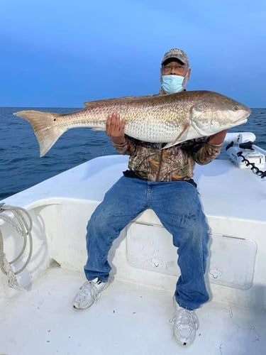 Trophy Red Drum Trip in Cedar Island