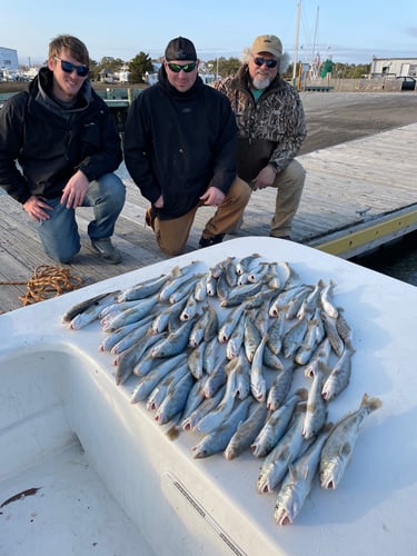 NC Inshore Slam In Beaufort