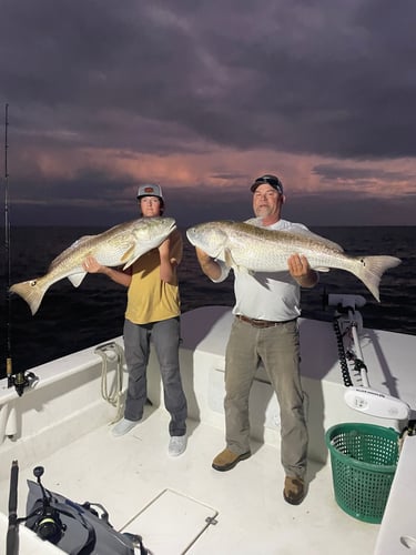 Trophy Red Drum Trip in Cedar Island