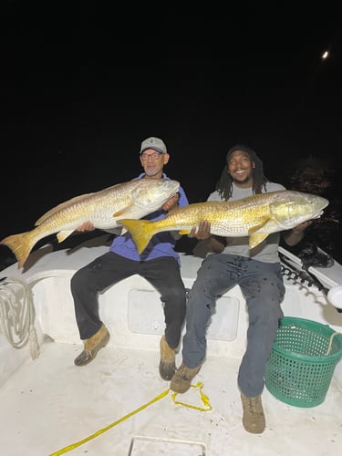 Trophy Red Drum Trip in Cedar Island