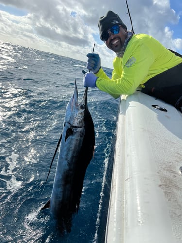 Keys Fishing Adventure In Duck Key