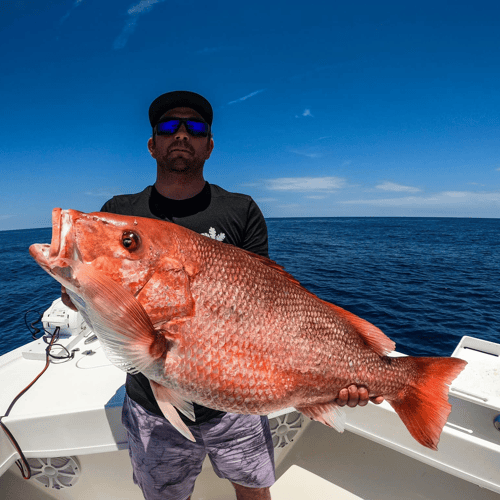 8 Hour Offshore - 24' Pair Custom In Jacksonville