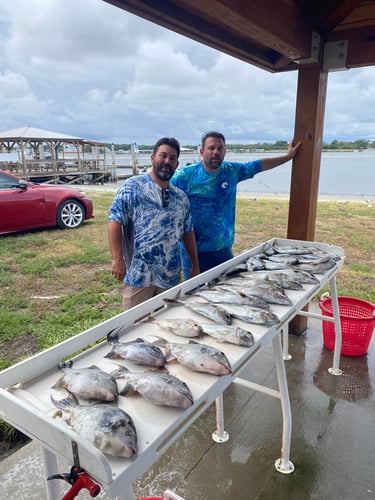 Offshore Thriller - 24' Pair Custom In Jacksonville