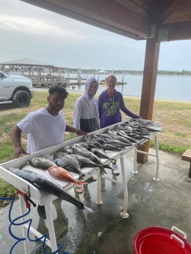 8 Hour Offshore - 24' Pair Custom In Jacksonville