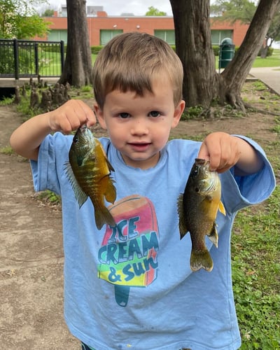 Lake Austin Kid Focused Fishing In Austin