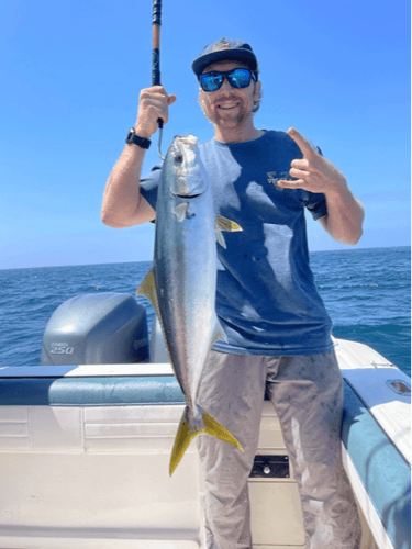 San Diego 3/4 Day Roundup In San Diego