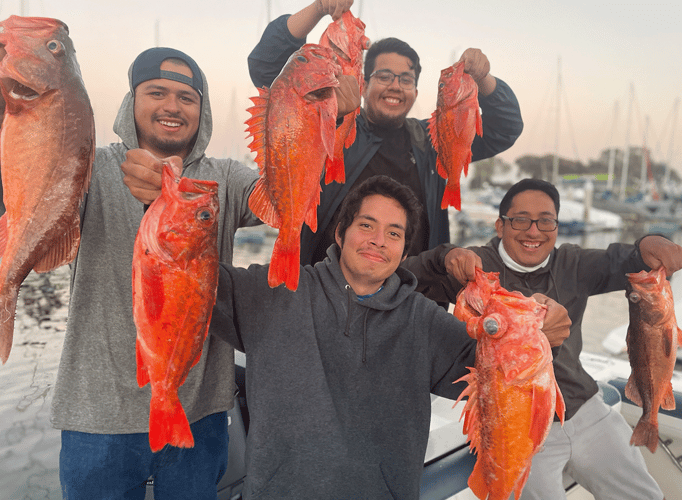 Coronado Islands Expedition In San Diego