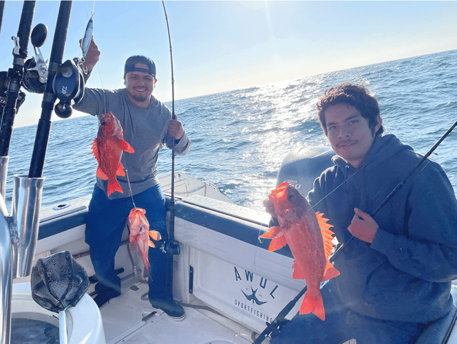 Coronado Islands Expedition In San Diego