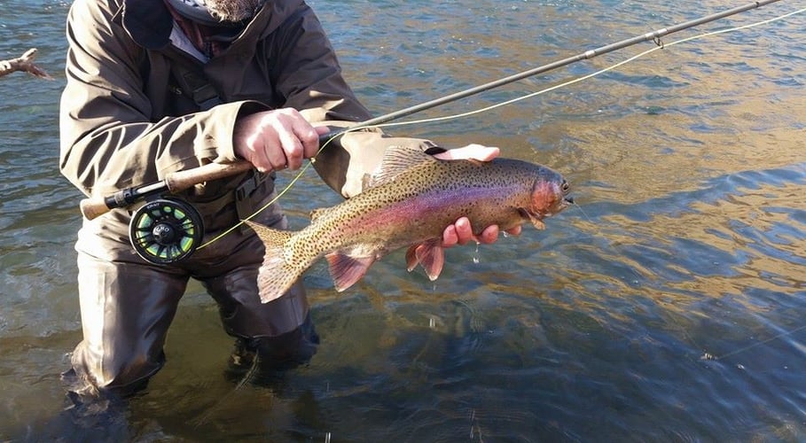 Crooked River Fly Fishing In Bend