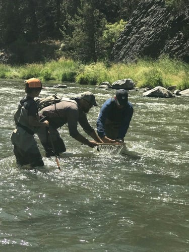 Crooked River Fly Fishing In Bend