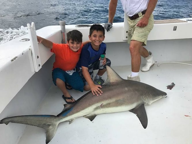 Destin Shark Action in Destin