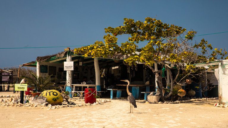 Les Roques Archipelago On The Fly In Los Roques Archipelago