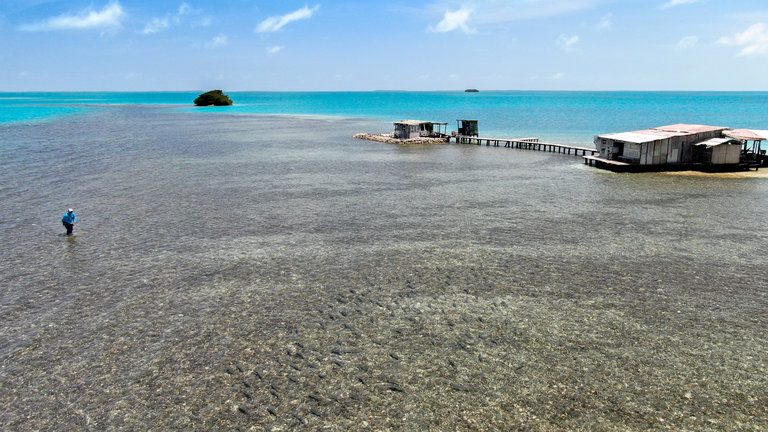 Les Roques Archipelago On The Fly In Los Roques Archipelago