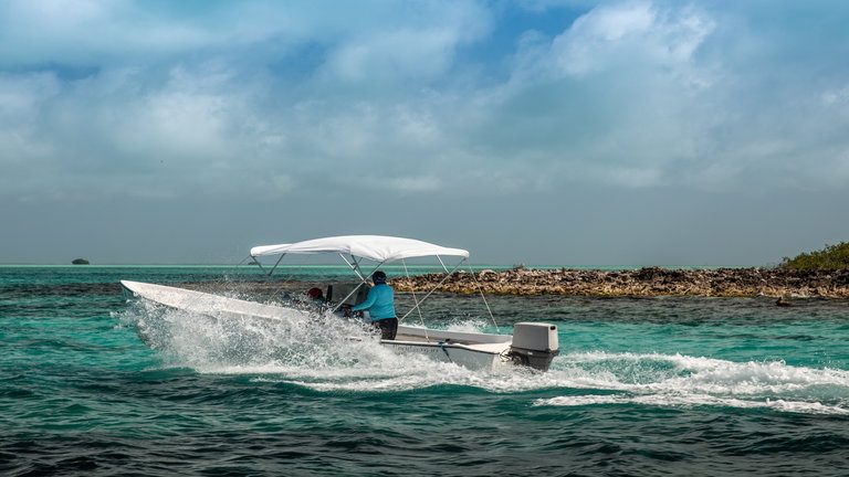 Two Anglers per Boat / Room in Caracas