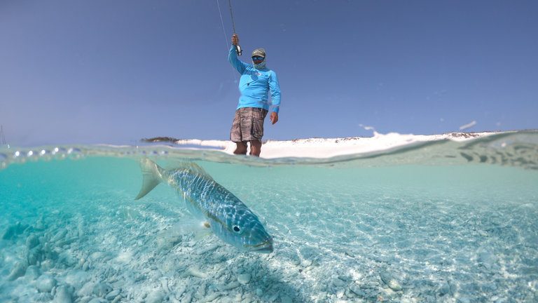 Two Anglers Per Boat / Room In Los Roques Archipelago