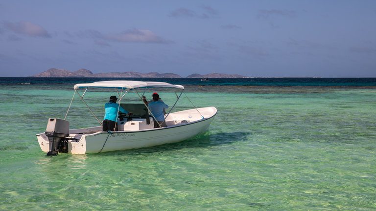Two Anglers per Boat / Room in Caracas