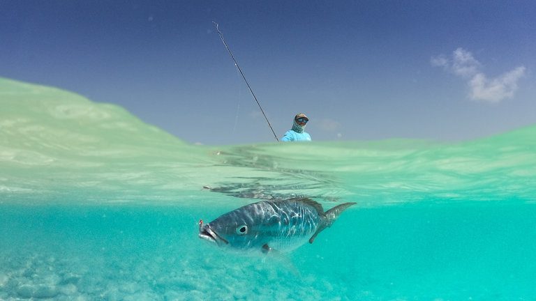 Les Roques Archipelago On The Fly In Los Roques Archipelago