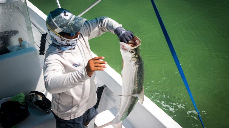 Two Anglers per Boat / Room in Caracas