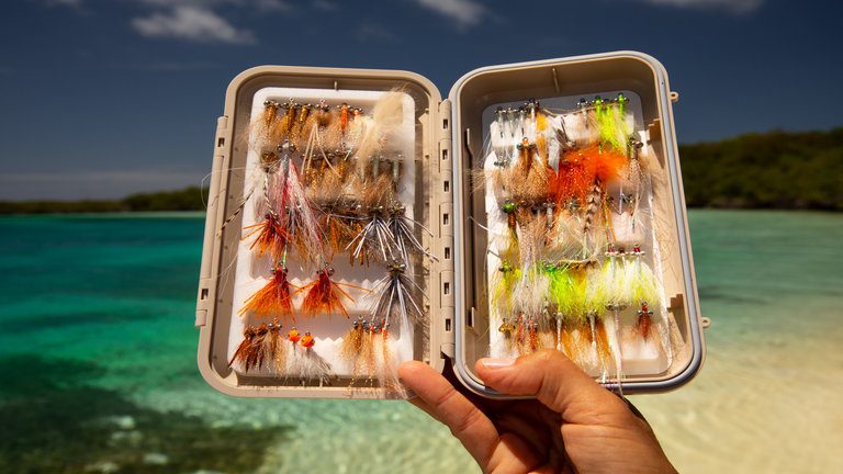 Les Roques Archipelago On The Fly In Los Roques Archipelago