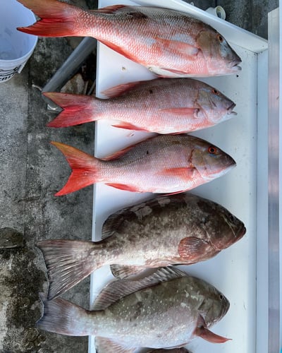Reefs, Bays, or Backcountry in Key West