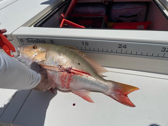 Reefs, Bays, or Backcountry in Key West
