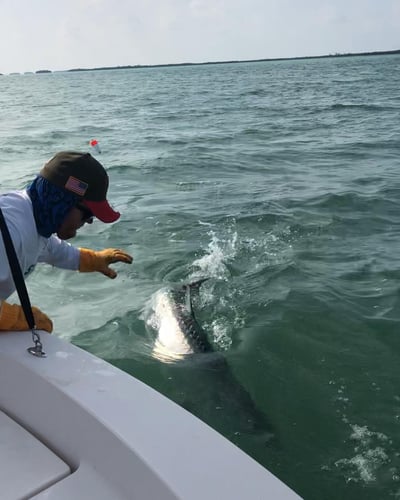 Reefs, Bays, Or Backcountry In Key West