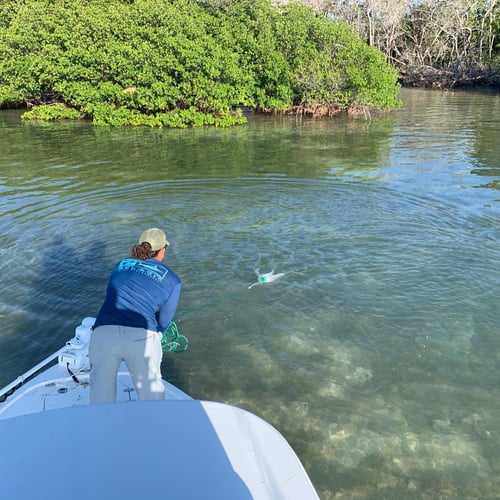 Reefs, Bays, or Backcountry in Key West