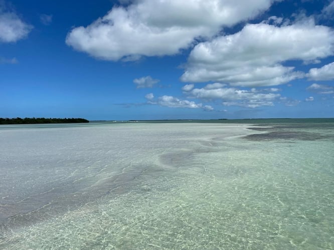 Reefs, Bays, or Backcountry in Key West