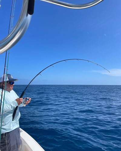 Reefs, Bays, Or Backcountry In Key West