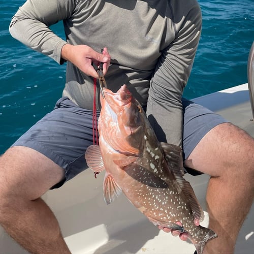 Reefs, Bays, or Backcountry in Key West