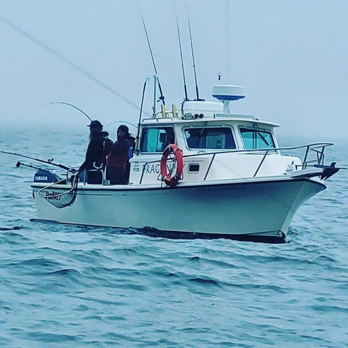 Reel Obsession Sportfishing in Bodega Bay, California: Captain