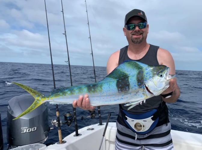 Dry Tortugas Charters In Key West