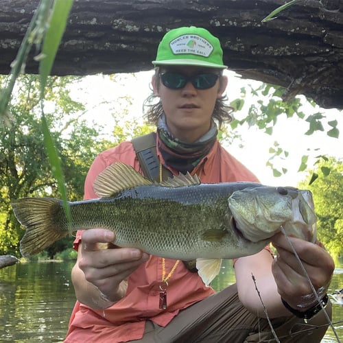 Texas Bass And Drum On The Fly In Austin