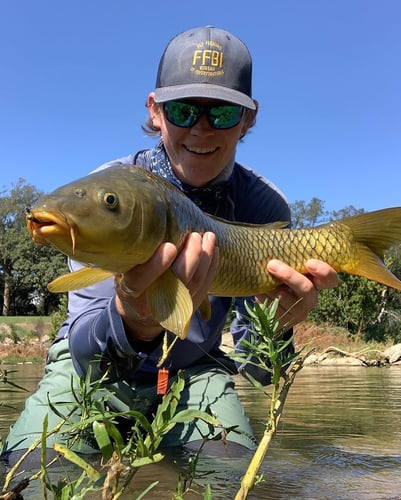 Carp And Buffalo On The Fly In Austin