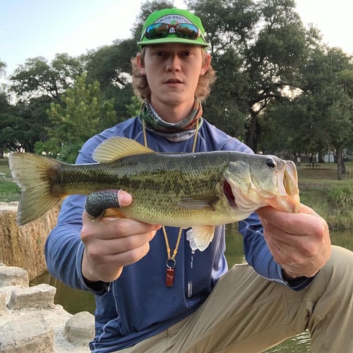 Texas Bass And Drum On The Fly In Austin