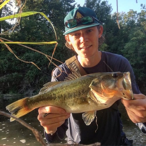 Texas Bass and Drum on the Fly in Austin