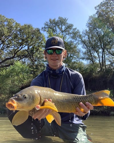 Carp And Buffalo On The Fly In Austin