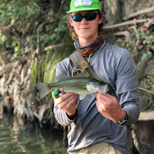 Texas Bass and Drum on the Fly in Austin