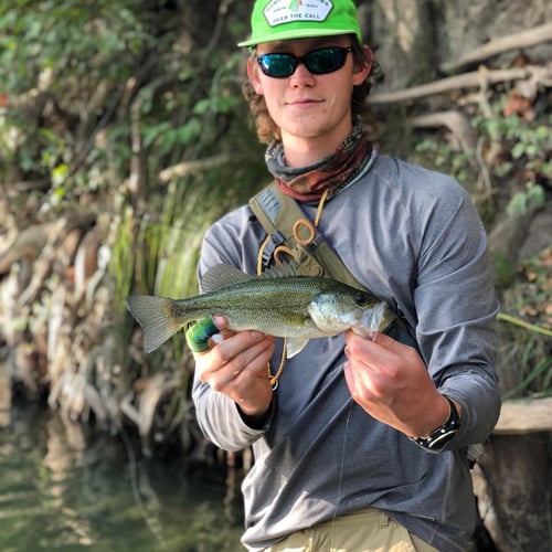 Texas Bass And Drum On The Fly In Austin