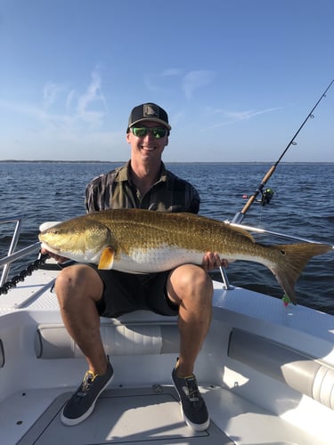 Trophy Red Drum Trip in New Bern