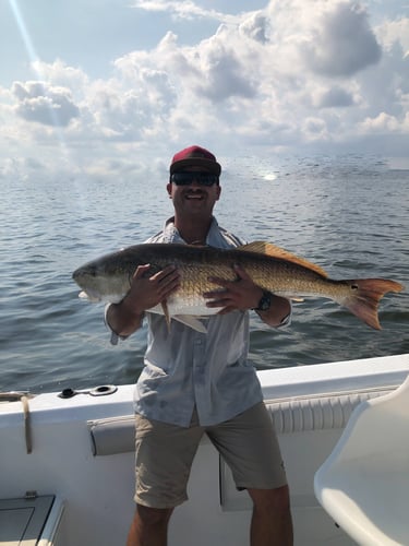 Trophy Red Drum Trip in New Bern