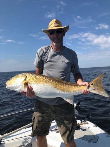 Trophy Red Drum Trip In New Bern