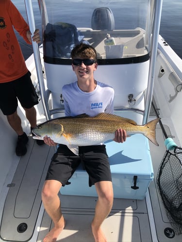 Trophy Red Drum Trip in New Bern