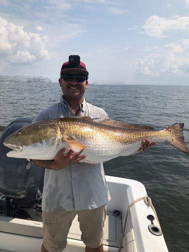 Trophy Red Drum Trip in New Bern