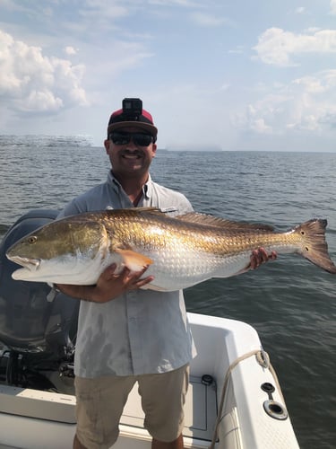 Trophy Red Drum Trip In New Bern